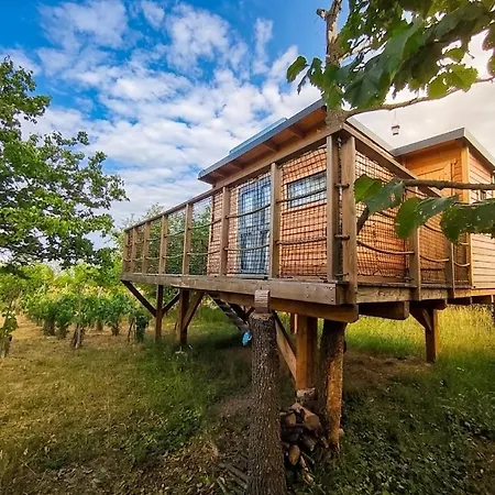 Glamping U Nebe - Glamping S Vyvysenym Tiny House *